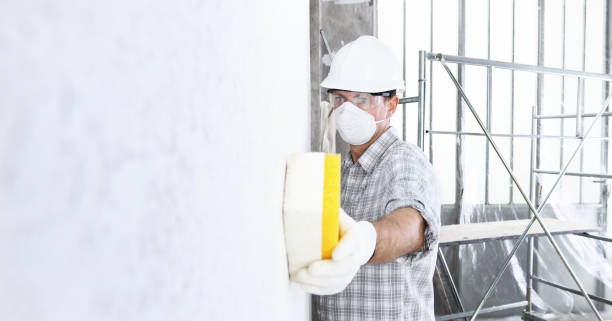 Professional Mold Removal & Remediation in Lisle, IL